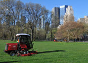 First Mow at Central Park's Sheep Meadow 