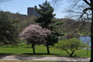 Spring at Silver Lake Park 