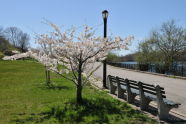 Spring at Silver Lake Park 