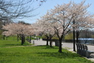 Spring at Silver Lake Park 