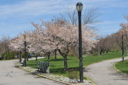 Spring at Silver Lake Park 