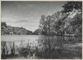 Alley Pond Park, Queens, 1936 