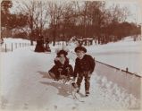 Recent Vision of Jollity, Children and Dog Sledding, Central Park, Manhattan, 