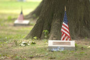 Van Cortlandt Park Memorial Grove Ribbon Cutting 