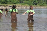 Seining in Marine Park 