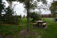 Downed Trees at Barretto Point Park 