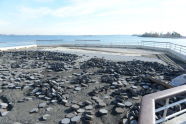 Tile Damage at Orchard Beach 