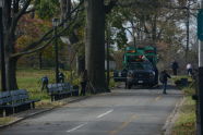 Storm Recovery at Pelham Bay Park 