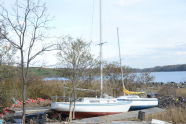 Scuttled Boats at Pelham Bay Park 