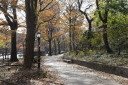 Fall in St. Nicholas Park 