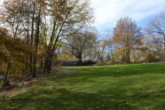 Fall in St. Nicholas Park 