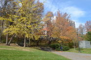 Fall in St. Nicholas Park 