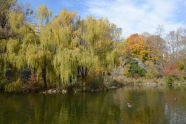 Fall in Morningside Park 