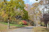 Fall in Morningside Park 