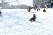 Snow Day at Crotona Park 