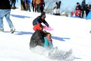 Snow Day at Crotona Park 