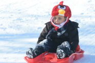 Snow Day at Crotona Park 