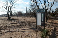 Cedar Grove Beach After the Storm 