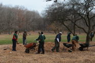 Maintaining Alley Pond Park 