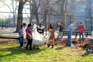 Cleaning Up Crotona Park After the Storm 