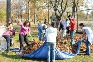 Cleaning Up Crotona Park After the Storm 