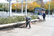 Volunteers at Hudson River Park 