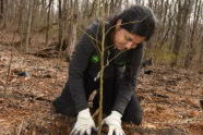 NY Knicks Trees Planting 