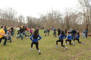 NY Knicks Trees Planting 