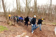 NY Knicks Trees Planting 