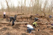 NY Knicks Trees Planting 