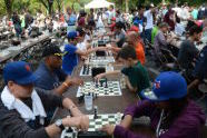 12th Annual Chess-in-the-Park Rapid Open 