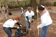 NY Cares Day 