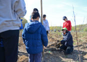 MillionTreesNYC Spring 2013 Planting Day 