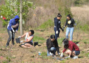 MillionTreesNYC Spring 2013 Planting Day 