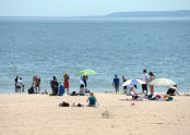 Summer at Coney Island 