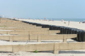 Positioning Trap Bags At Rockaway Beach 