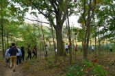 Twin Island Preserve Trail 