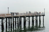 Steeplechase Pier 