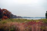 Fall Foliage in NYC Parks 