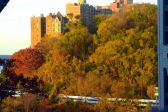 Fall Foliage in NYC Parks 