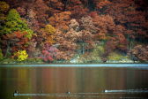 Fall in NYC Parks 