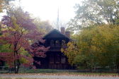 Fall Foliage in NYC Parks 