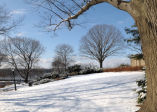 Winterscapes 