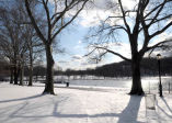 Winterscapes 