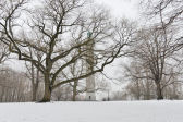 Winterscapes 