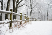 Winterscapes 