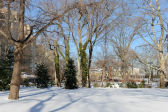 Winterscapes 