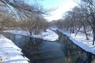 Bronx River 