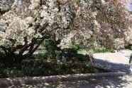 Children enjoying a spring day in the Central Park Zoo 