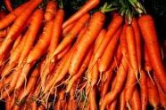 Greenmarket carrots 